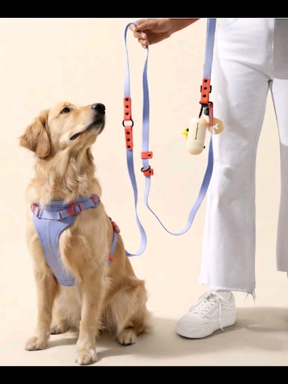 6 In 1 Waterproof Hands-free Dog Leash And Collar Set LED Light LARGE 8 FEET